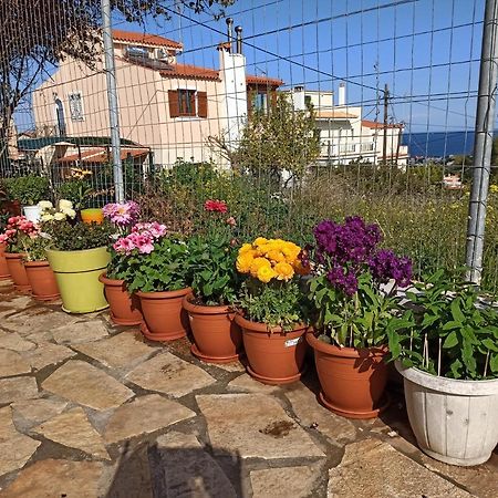 Airport Family House Daire Artemida  Dış mekan fotoğraf